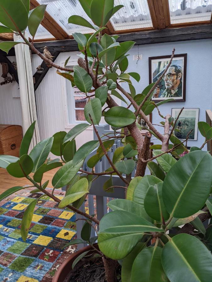 Ferienhaus Eichhof, Garlstorf - Lueneburger Heide Esterno foto